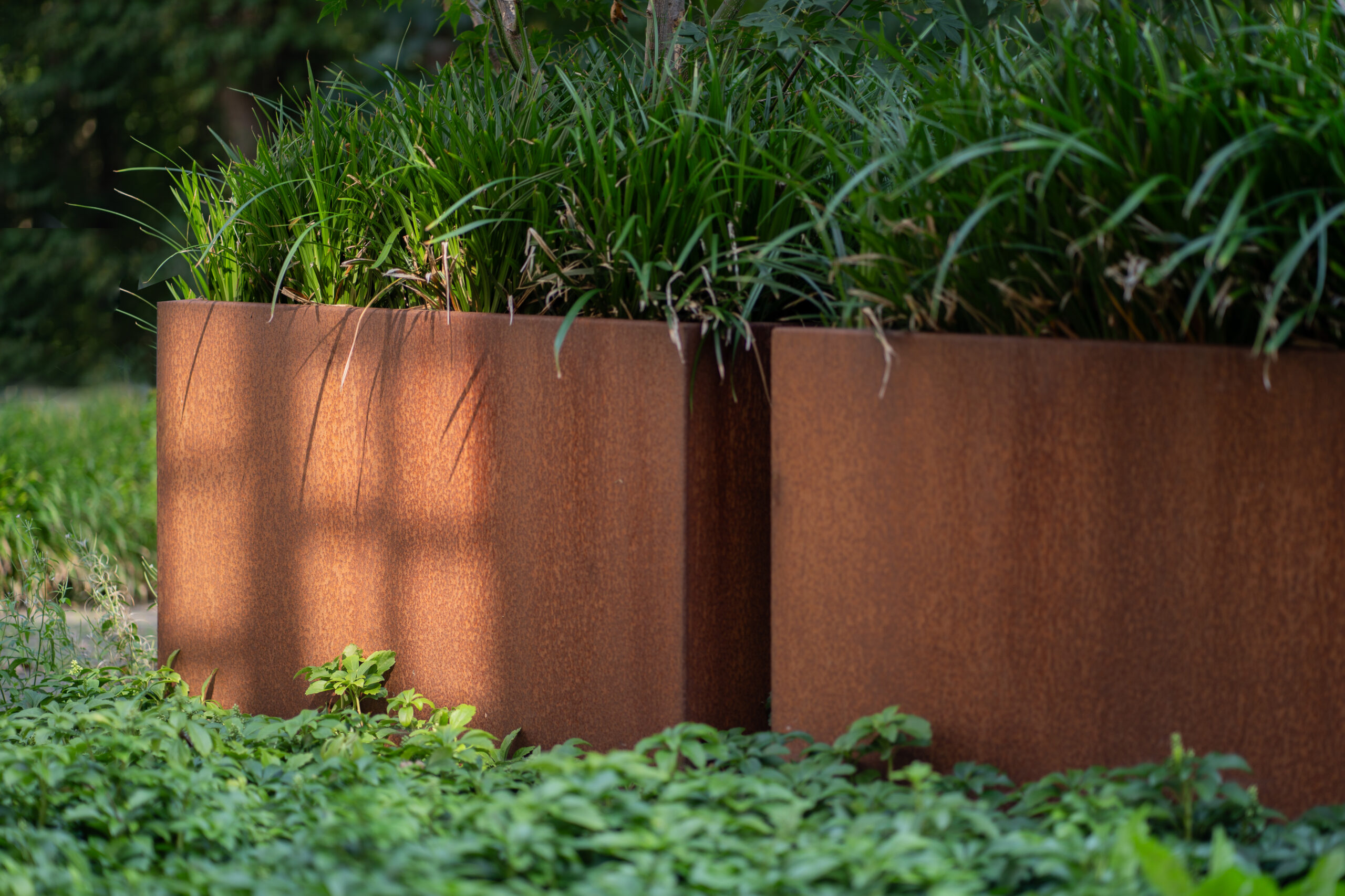 Plantenbak Verde - Afbeelding 2